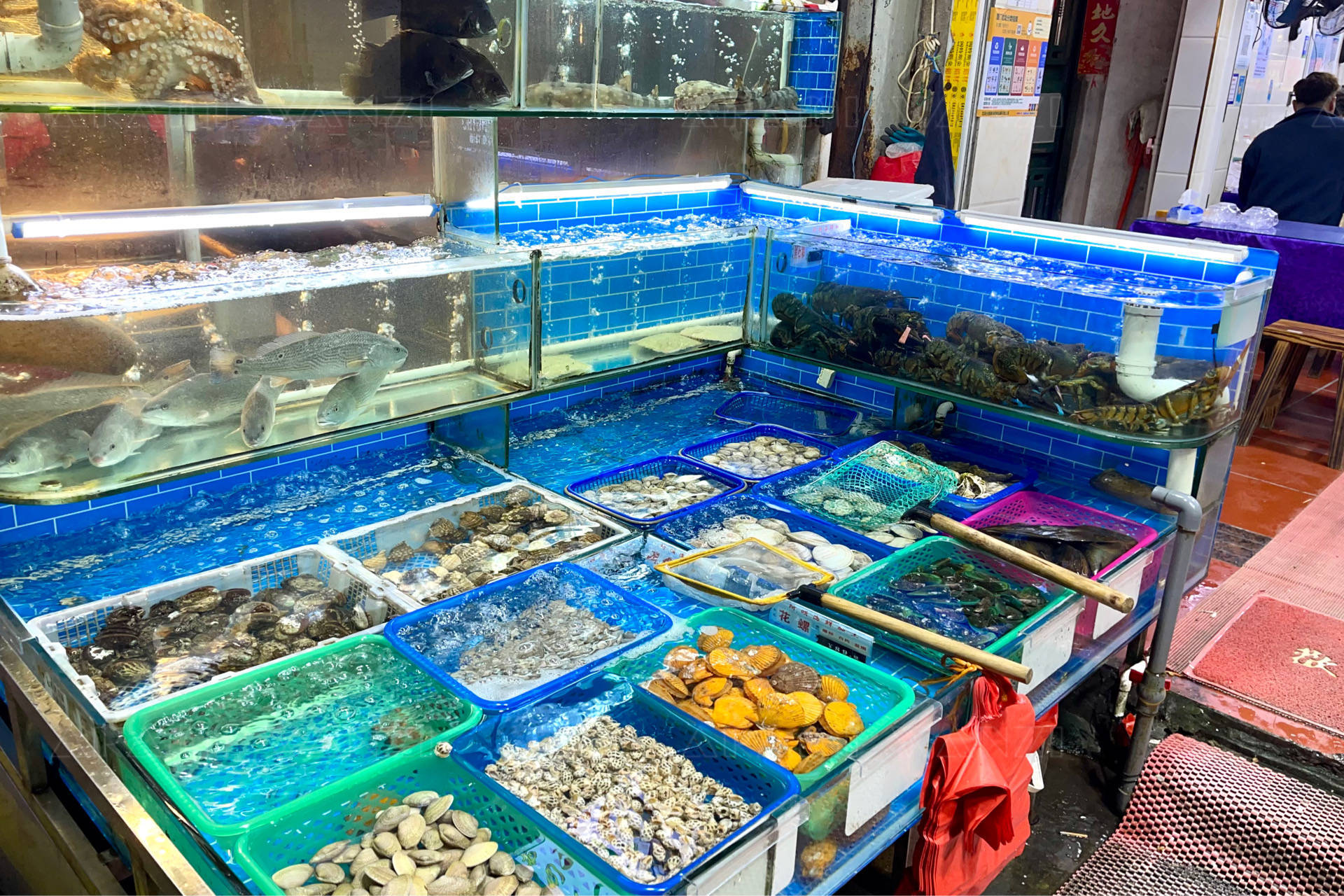 廈門八市里的珍饈 鑲金包銀養殖巴浪魚，海鮮加工店的獨特風味