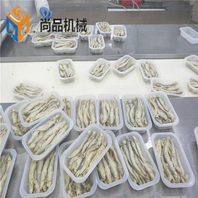 海產品加工高效解決方案 巴沙魚滾筒上粉機、帶魚段連續式油炸機及小刀魚裹粉油炸成套設備