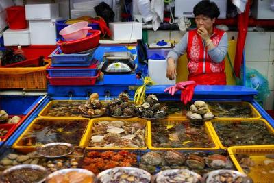 “魚去人空” 韓國海鮮市場遇冷，漁民憂心“飯碗”不保